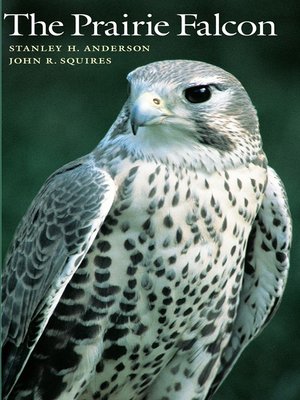cover image of The Prairie Falcon